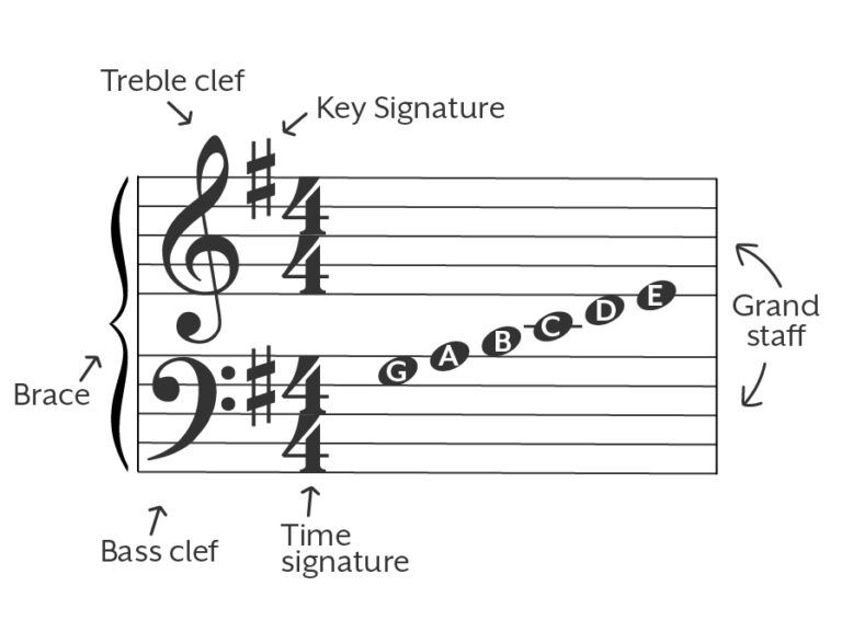 Learn The Notes Piano Notes for Beginners | Learn, Play, & Memorize