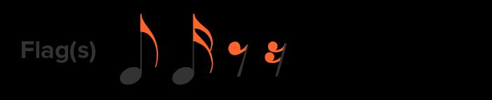 Musical Notes Guide | Names, Symbols & Time Values