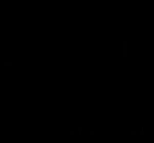 Dotted Notes Rhythms Quarter Half Eighth Whole More Hoffman